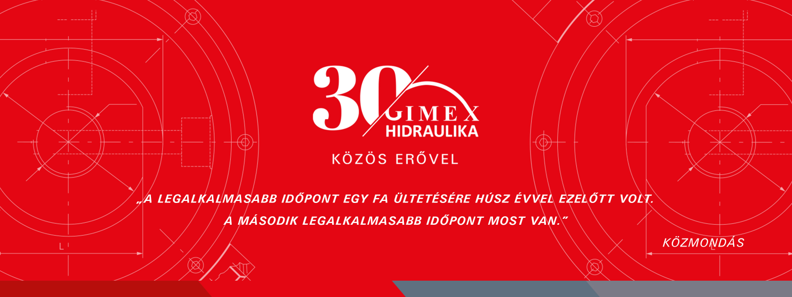 Gimex 30